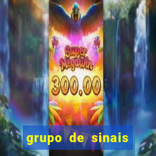 grupo de sinais fortune rabbit